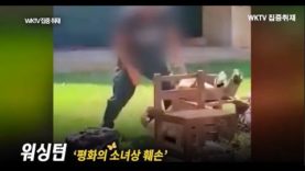 워싱턴 ‘평화의 소녀상’ 훼손 워싱턴 희망나비 조현숙 대표에게 듣다