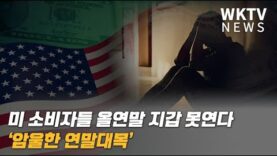 미 소비자들 올연말 지갑 못연다 ‘암울한 연말대목’