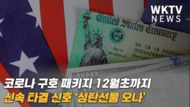 코로나 구호 패키지 12월초까지 신속 타결 신호 ‘성탄선물 오나’