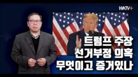 [대선분쟁 특집] 선거부정 의혹 무엇이고 트럼프 증거 댈 수 있나