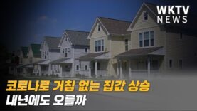 코로나로 거침 없는 집값 상승 내년에도 오를까