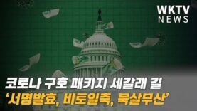 코로나 구호 패키지 세갈래 길 ‘서명발효, 비토일축, 묵살무산’