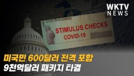 미국민 600달러 전격 포함 9천억달러 패키지 타결