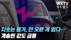 치솟는 물가, 안 오른 게 없다…개솔린 대란