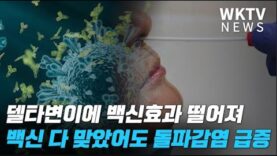 델타변이에 백신효과 떨어져 백신 다 맞았어도 돌파감염 급증 ‘초비상’
