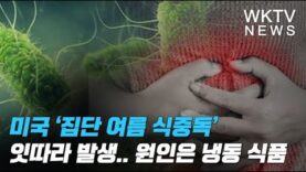 미국 ‘집단 여름 식중독’ 잇따라 발생 원인은 냉동 식품