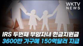 IRS 두번째 부양자녀 현금지원금 3600만가구에 150억달러 지급