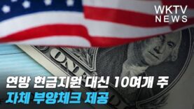 연방 현금지원 대신 10여개주 자체 부양체크 제공