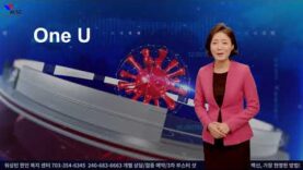 백신 캠페인 워싱턴 한인 복지센터