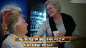 테리 맥컬리프 민주당 주지사 후보