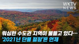 워싱턴 수도권 지역이 물들고 있다… ‘2021년 단풍 절정’은 언제