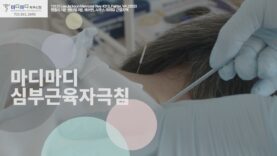 마디마디 척추신경