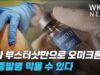3차 부스터샷만으로 오미크론 중증발병 막을 수 있다