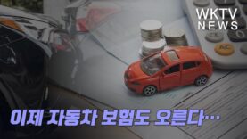 이제 자동차 보험도 오른다…