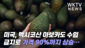 미국, 멕시코산 아보카도 수입 금지로 가격 90%까지 상승…