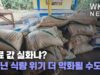 비료 값 실화냐? “내년 식량 위기 더 악화될 수도”