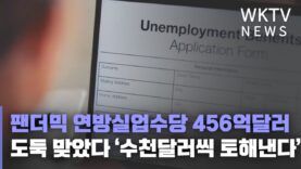 팬더믹 연방실업수당 456억달러 도둑 맞았다 ‘수천달러씩 토해낸다’
