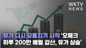 유가 다시 요동치기 시작 ‘오페크 하루 200만 배럴 감산, 유가 상승’