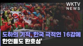 도하의 기적, 한국 극적인 16강에 한인들도 환호성’