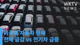 미국내 자동차 판매 전체 급감 vs 전기차 급증