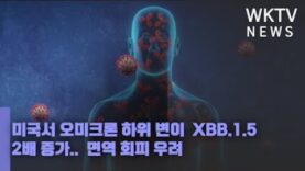 미국서 오미크론 하위 변이 XBB 1 5 2배 증가 면역 회피 우려