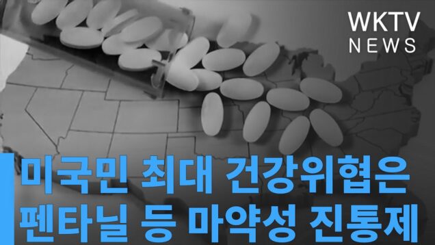 미국민 최대 건강위협은 펜타닐 등 마약성 진통제