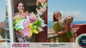 다발의 꽃집 Bundle of Roses