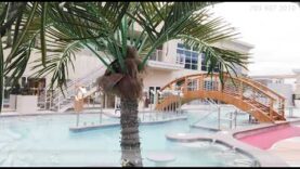 킹스파 King Spa VA!