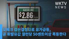 오페크 감산결정으로 유가급등, 곧 휘발유값 갤런당 50센트이상 폭등한다