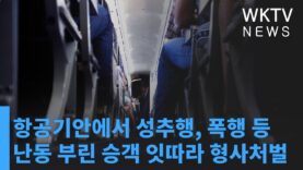항공기안에서 성추행, 폭행 등 난동 부린 승객 잇따라 형사처벌