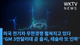 미국 전기차 무한경쟁 펼쳐지고 있다 ‘GM 3만달러대 곧 출시, 테슬라 또 인하’