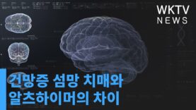 건망증 섬망 치매와 알츠하이머의 차이
