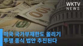 미국 국가부채한도 올리기 투쟁 종식 법안 추진된다
