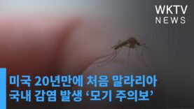 미국 20년만에 처음 말라리아 국내 감염 발생 ‘모기 주의보’