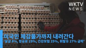 미국민 체감물가까지 내려간다 ‘달걀 8%, 항공료 19%, 건강보험 25%, 휘발유 27% 급락