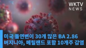미국 돌연변이 30개 많은 BA 2 86 버지니아, 메릴랜드 포함 10개주 감염