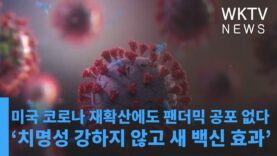 미국 코로나 재확산에도 팬더믹 공포 없다 ‘치명성 강하지 않고 새 백신 효과’