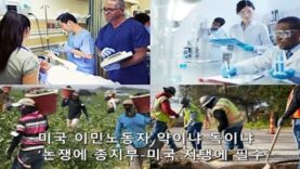 미국 이민노동자 약이냐 독이냐 ‘논쟁에 종지부-미국 지탱에 필수’