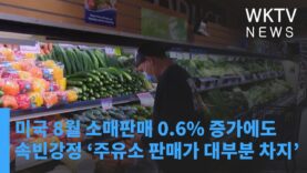 미국 8월 소매판매 0.6% 증가에도 속빈강정 ‘주유소 판매가 대부분 차지’