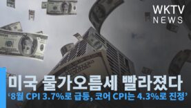 미국 물가오름세 빨라졌다 ‘8월 CPI 3.7%로 급등, 코어 CPI는 4.3%로 진정’
