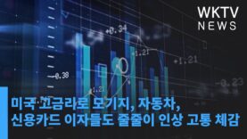 미국 고금리로 모기지, 자동차, 신용카드 이자들도 줄줄이 인상 고통 체감