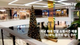 미국 최대 연말 쇼핑시즌 매출 ‘3~4% 증가로 냉각 우려’