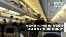 항공여행 시즌 암묵적인 항공메너와 주의 할 항공 법 ‘베이핑 되나요’