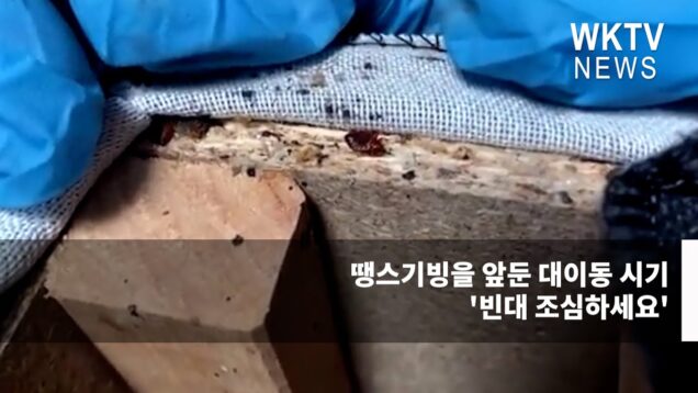 땡스기빙을 앞둔 대이동 시기 ‘빈대 조심하세요’