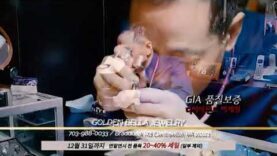 골든벨라 12월 세일