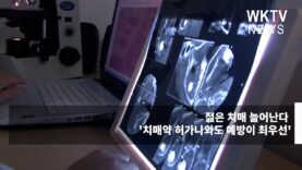 젊은 치매 늘어난다 ‘치매약 허가나와도 예방이 최우선’
