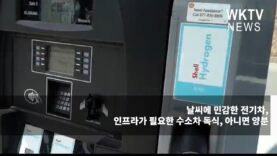 날씨에 민감한 전기차, 인프라가 필요한 수소차 독식, 아니면 양분