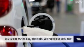 미국 갈수록 전기차 주춤, 하이브리드 급증 ‘올들어 50% 폭증’