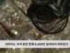 사라지는 미국 동전 한해 6,800만 달러어치 버려진다