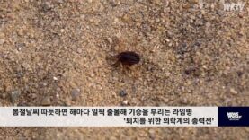 봄철날씨 따듯하면 해마다 일찍 출몰해 기승을 부리는 라임병